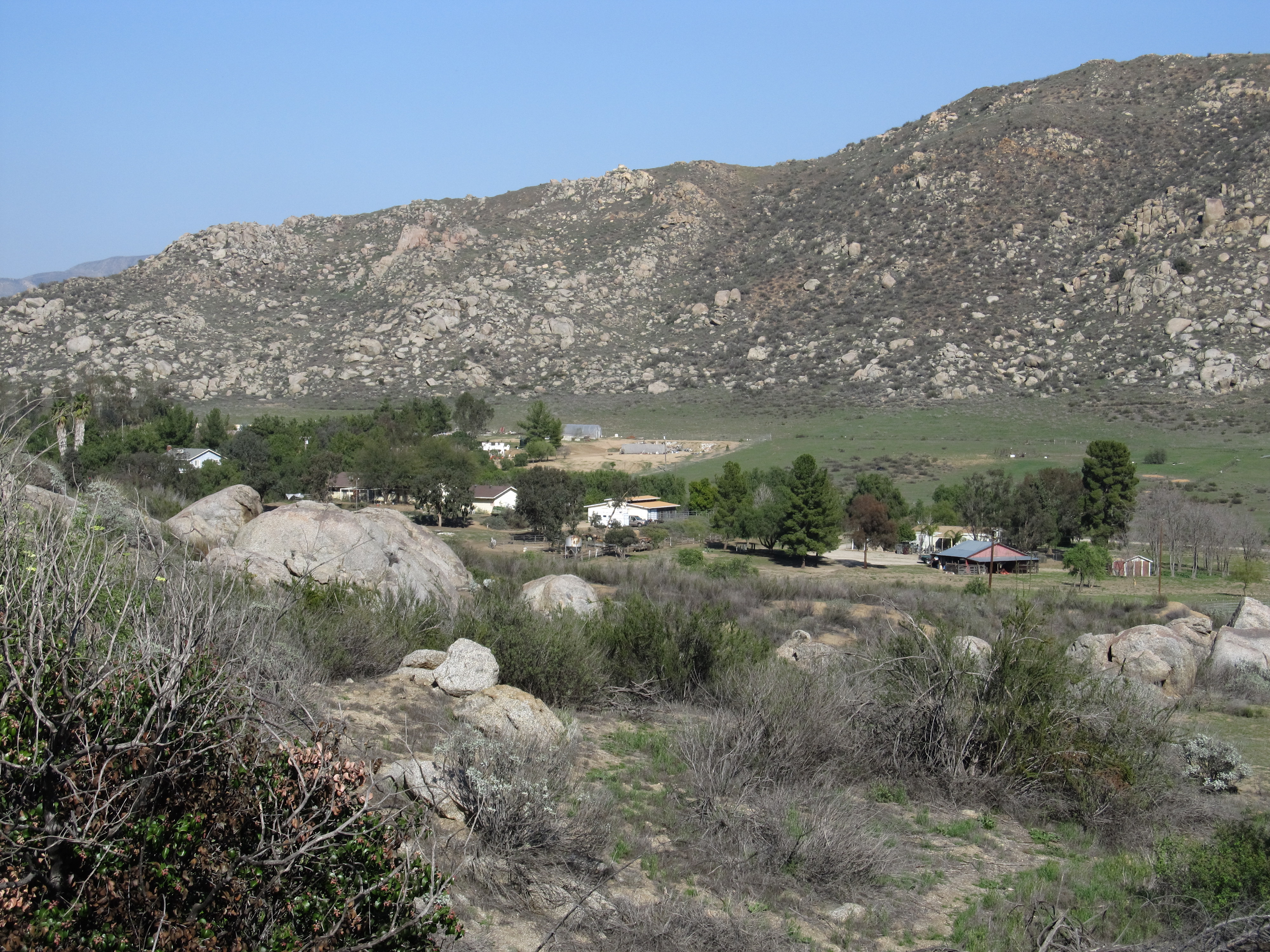 A picture of Hemet