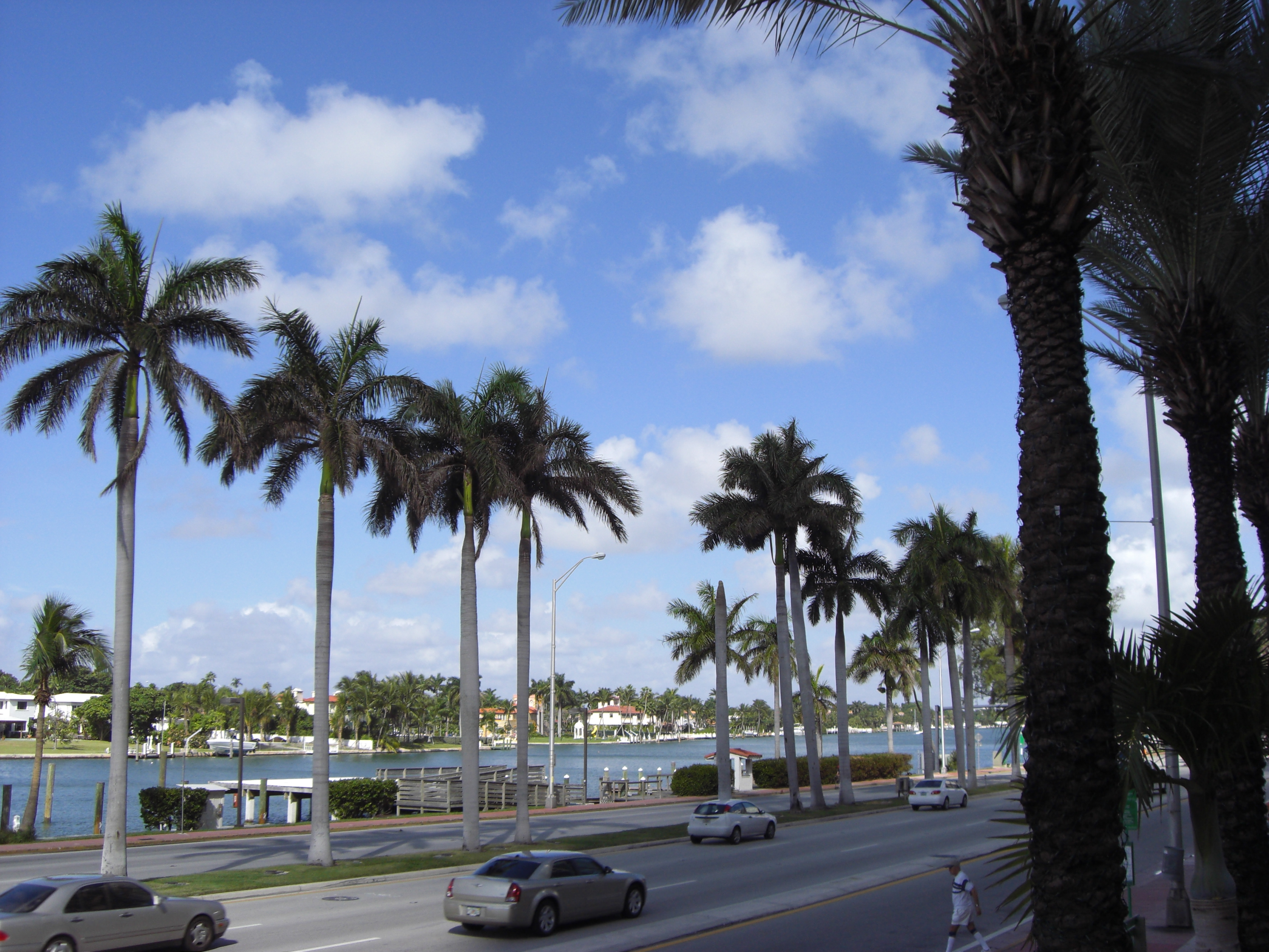 A picture of Miami Beach