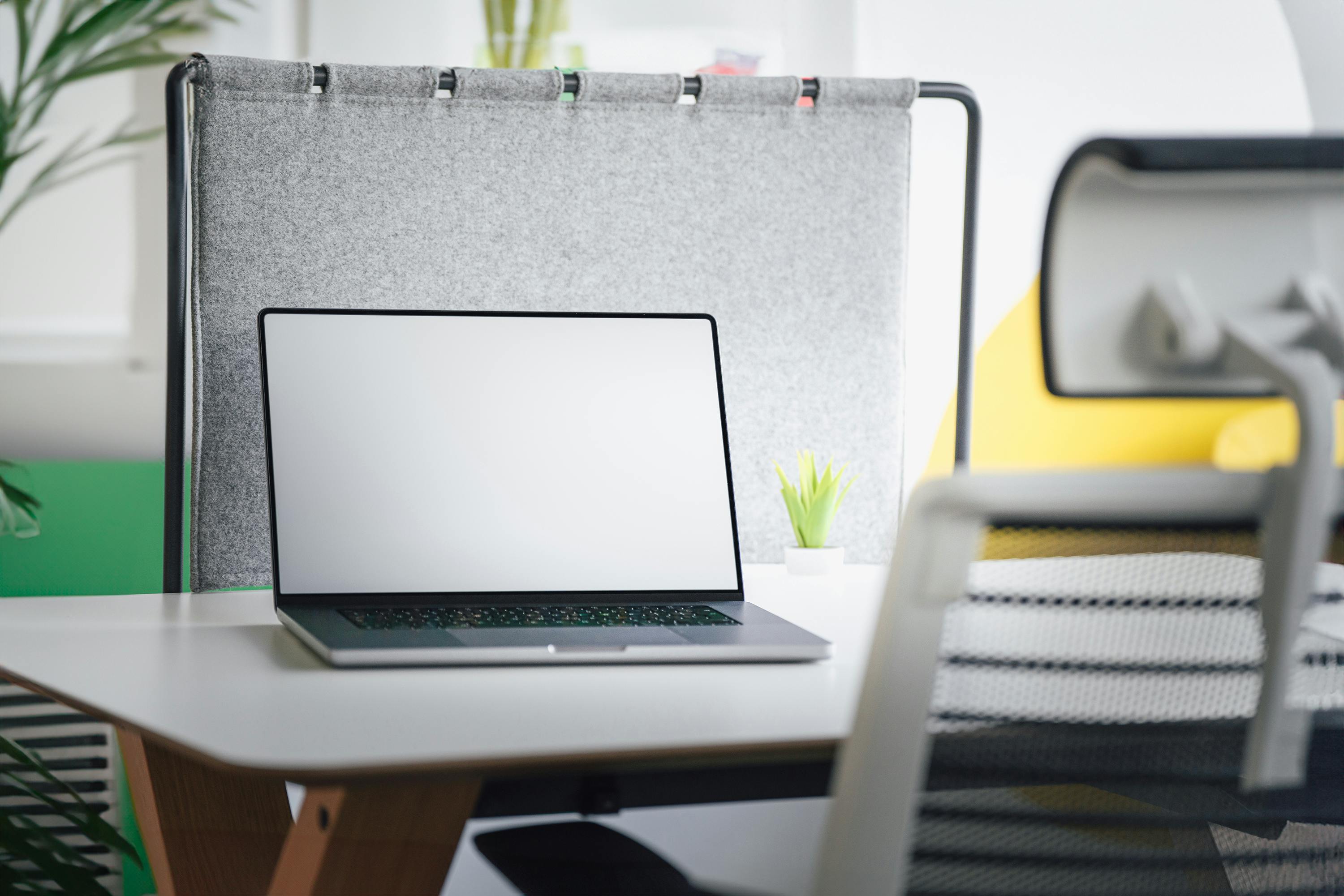 blank laptop screen mockup