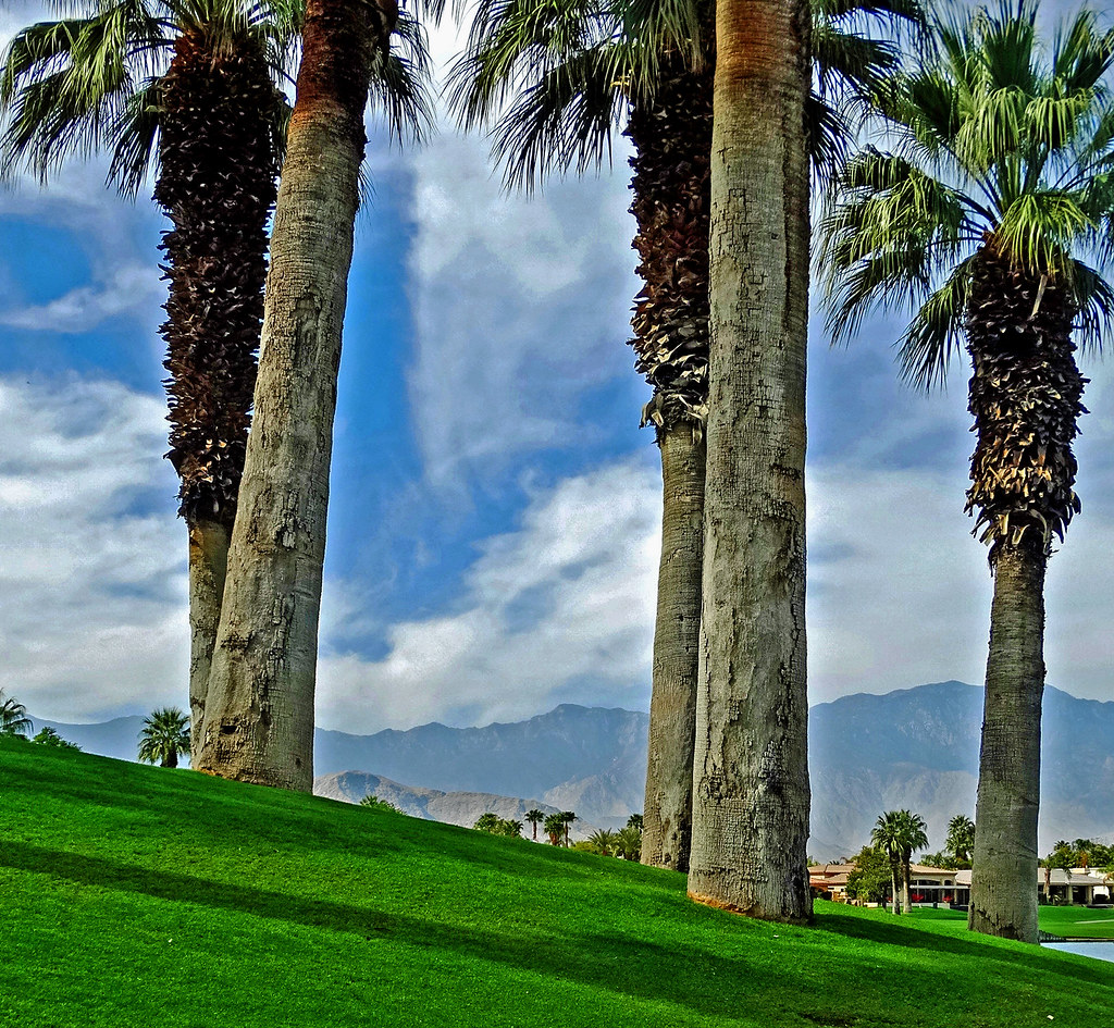 A picture of Palm Desert