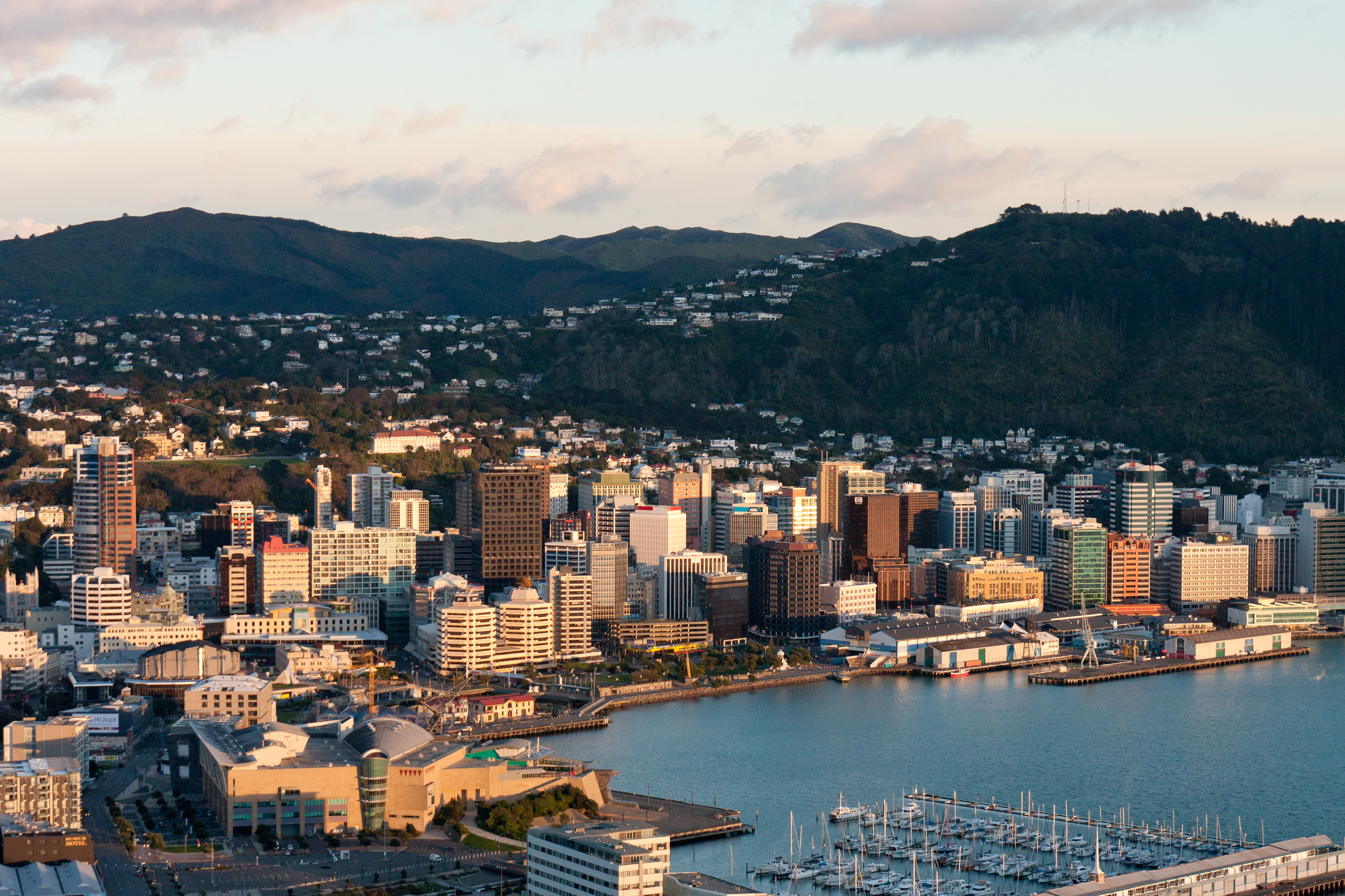 A picture of Wellington